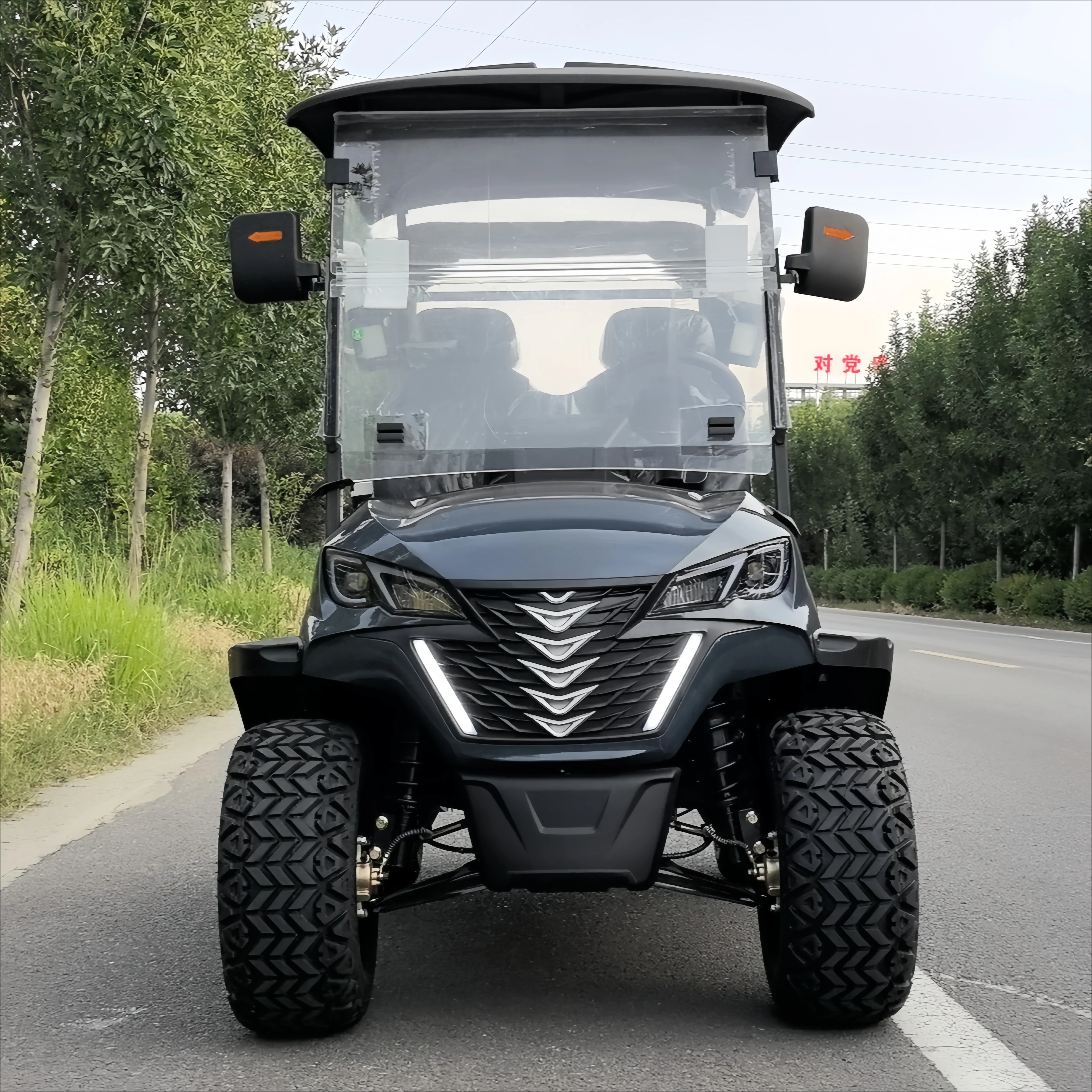 Factory Direct Electric Golf Cart with 2- Seats Compatible with Club Car 48V Battery  EEC Certified electric golf carsgolf buggy