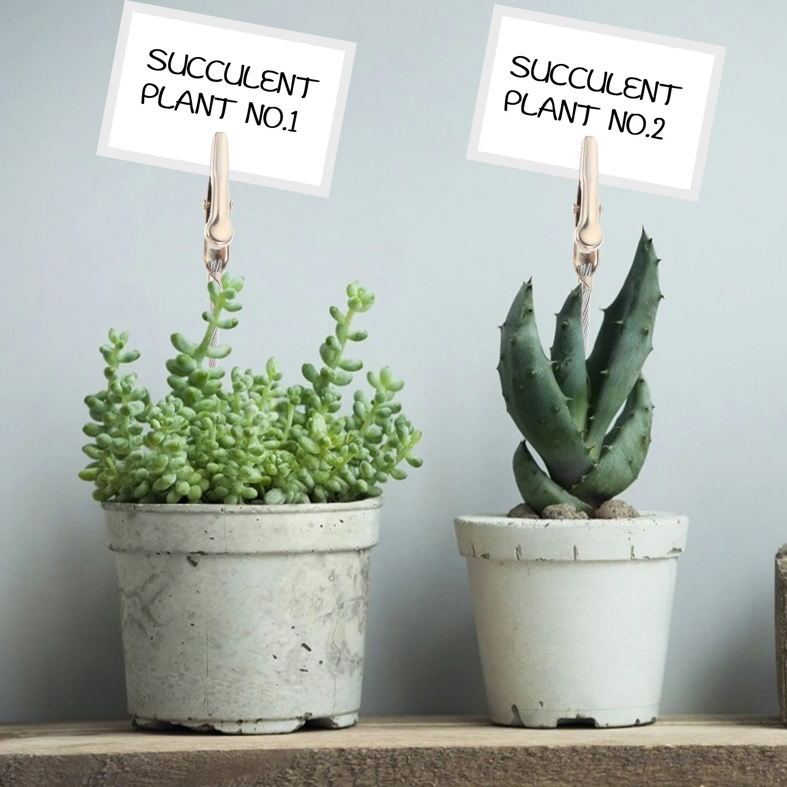 

50pcs Crocodile Clips For Photos Metal Wire Alligator Clamps Diy Picture Storage Clip Holder Wall Decoration Party Wedding