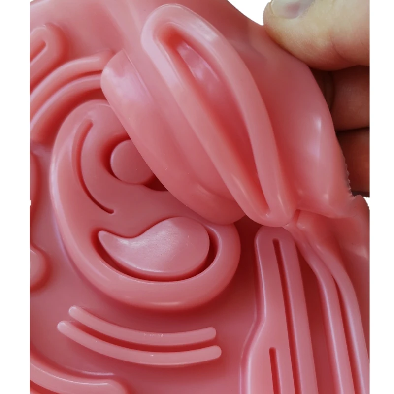 Simulateur laparoscopique modèle fuchsia, coussin de pratique de suture en silicone 3D pour médecin, infirmière, pratique des étudiants