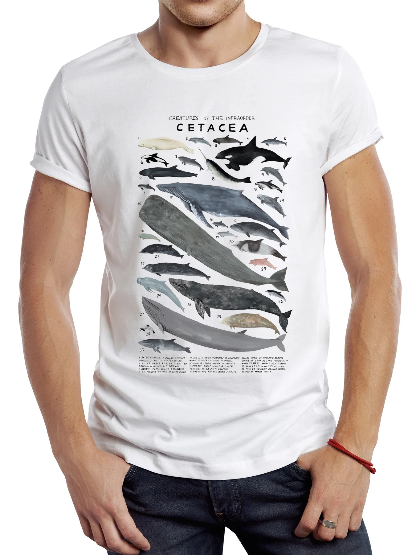 Ocean Animals Sport Cloth Retro Cetacea Whales Dolphins Porpoises Tops Hipster Tee TEEHUB Vintage Whale Sharks Men T Shirt