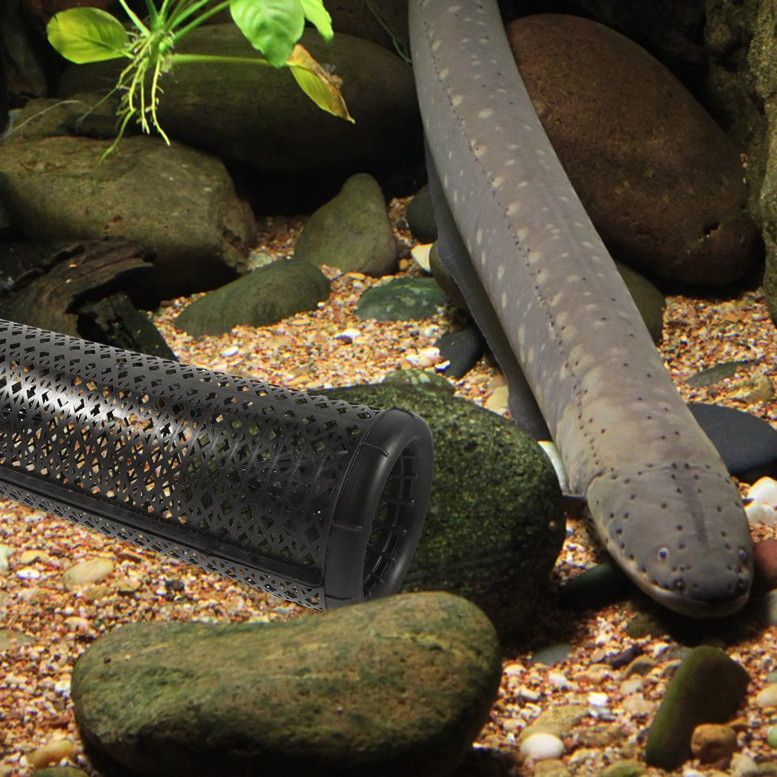 كبير قابلة لإعادة الاستخدام البلاستيك ثعبان البحر قفص السمك فخ جراد المعاوضة المحمولة الصيد فخ للمياه المالحة المياه العذبة الصيد المعاوضة