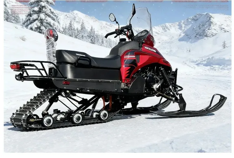 300cc EFI Snow ATV / Snowmobile (Model For Adults)