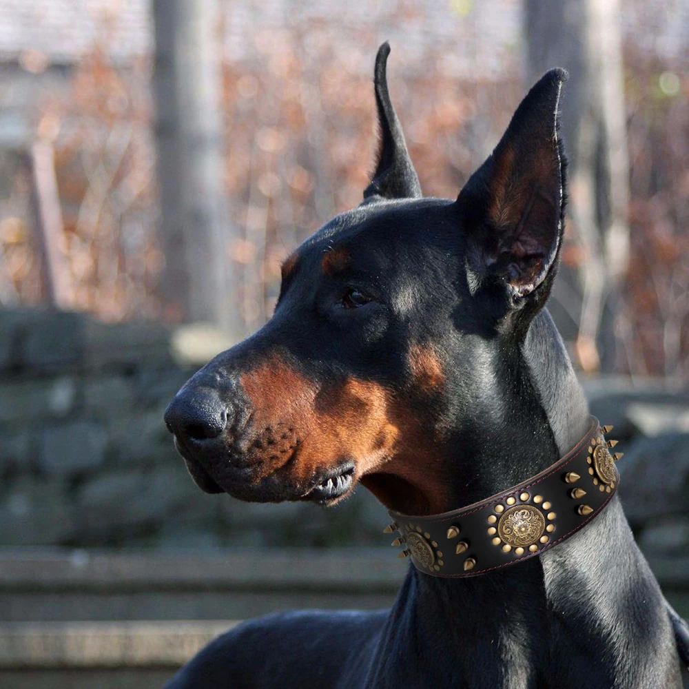 Skórzana duża obroża dla psa Pitbull kolczasta obroża dla średnich dużych dużych psów prawdziwej skóry trwała obroża dla zwierząt brązowa — zdjęcie 6