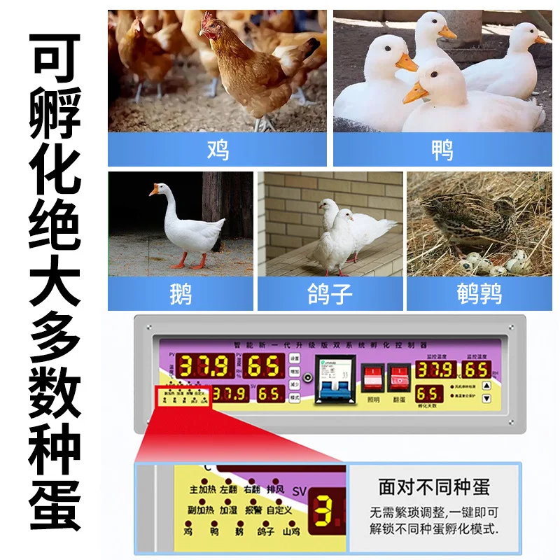 

For Sea Shipping, Customized incubator is a fully automatic intelligent large-scale incubator for hatching chicken, duck, and go
