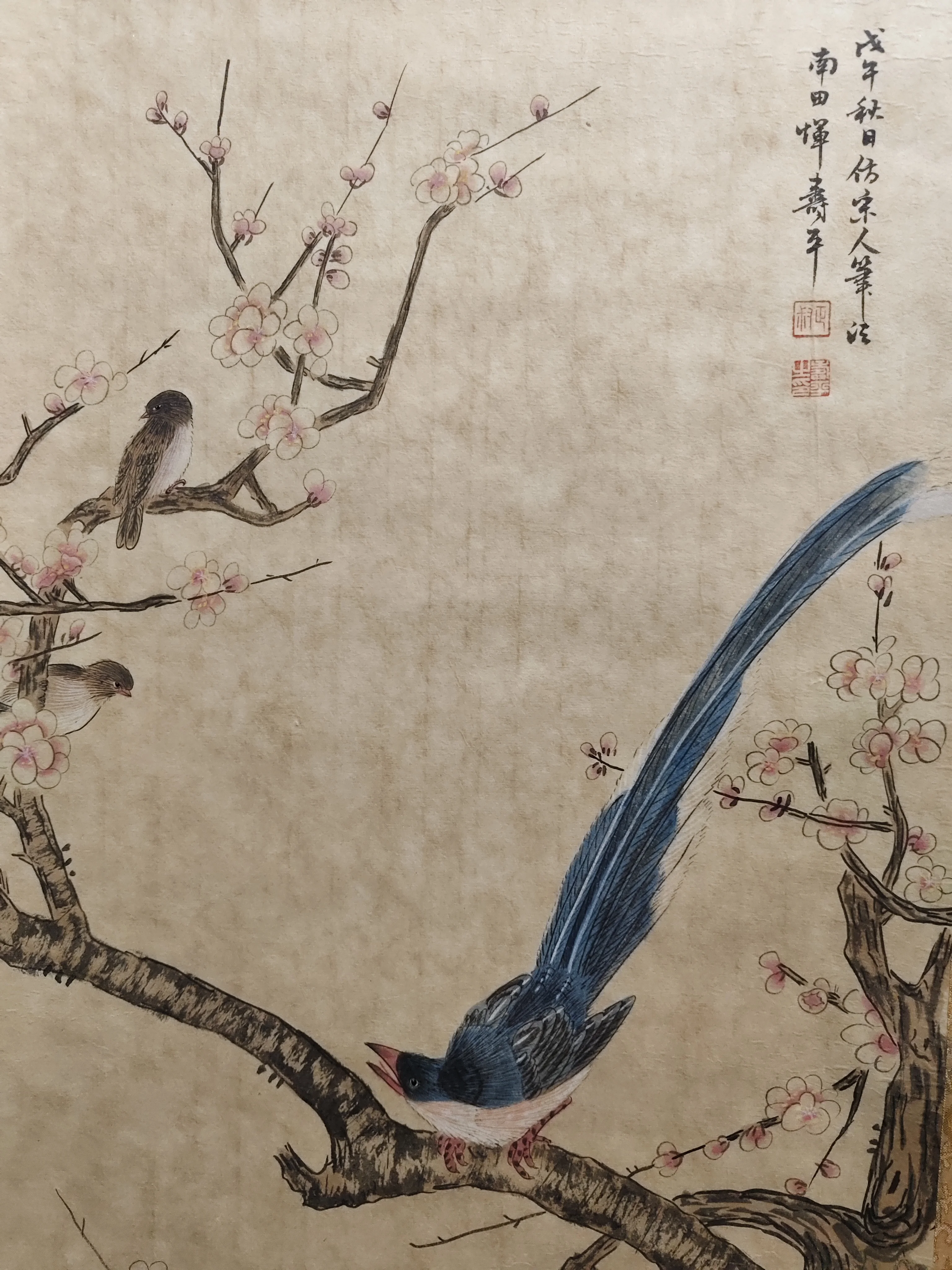 Old Chinese hand-painted long scroll,bird&flower Painting Scroll