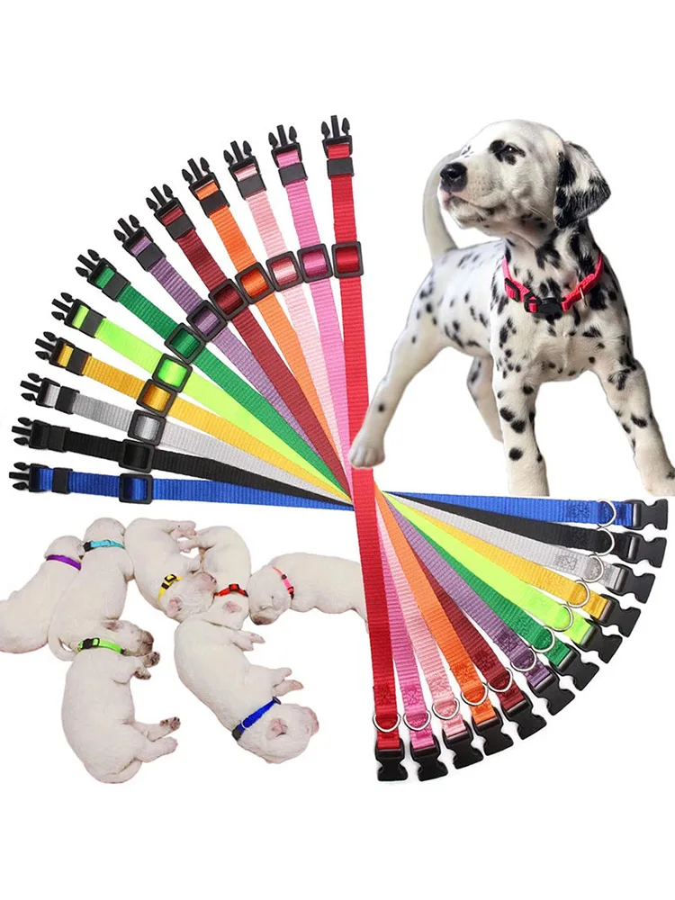 12 Pieces/set Of New Nylon Pet Collars With Adjustable Safety Buckle Collar Cat And Dog Collar 12 Color Pet Collar Supplies