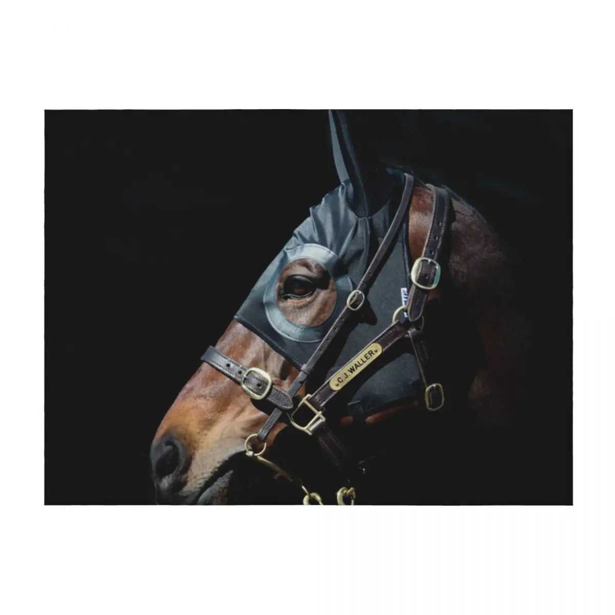 

Winx - Racehorse Throw Blanket Blankets For Baby Vintage Thins Blankets