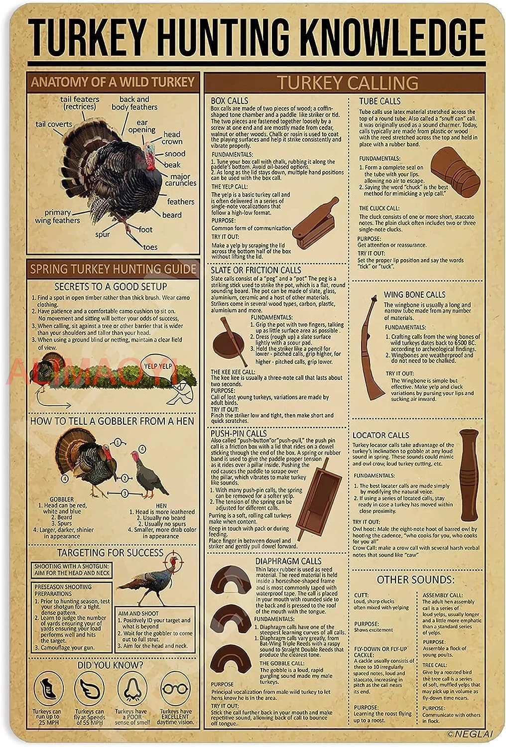 Turkey Hunting Knowledge Poster Tin Sign Anatomy Of A Wild Turkey Metal Sign Farm Vintage Decor Kitchen Kitchen Garde Farmho ALA