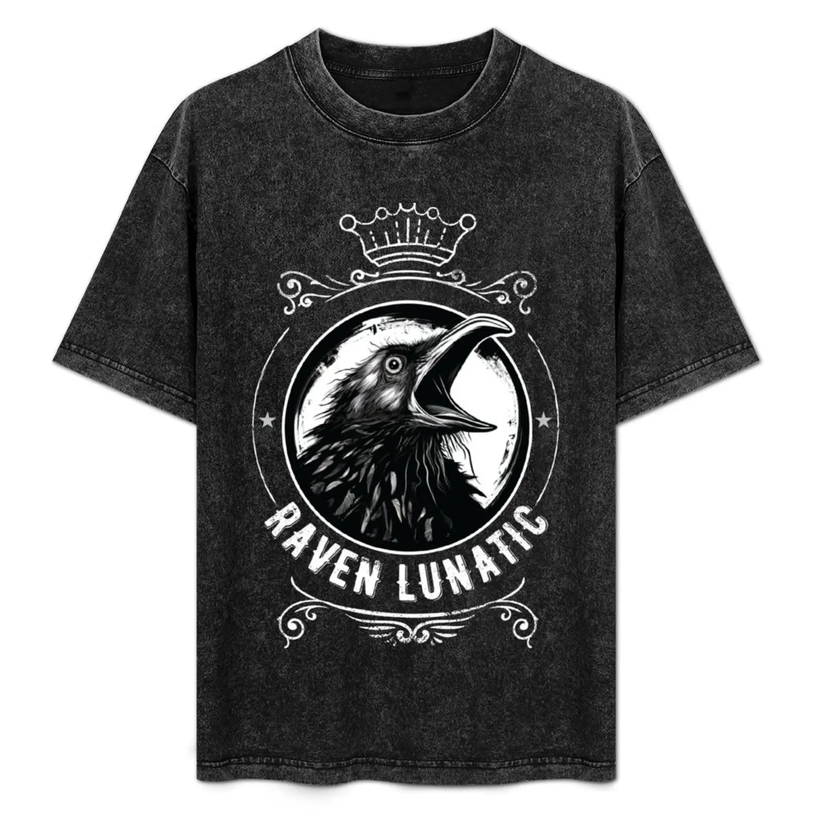 

Raven Lunatic - Quoth the Raven Poe T-Shirt Daily Wear Print T-Shirt