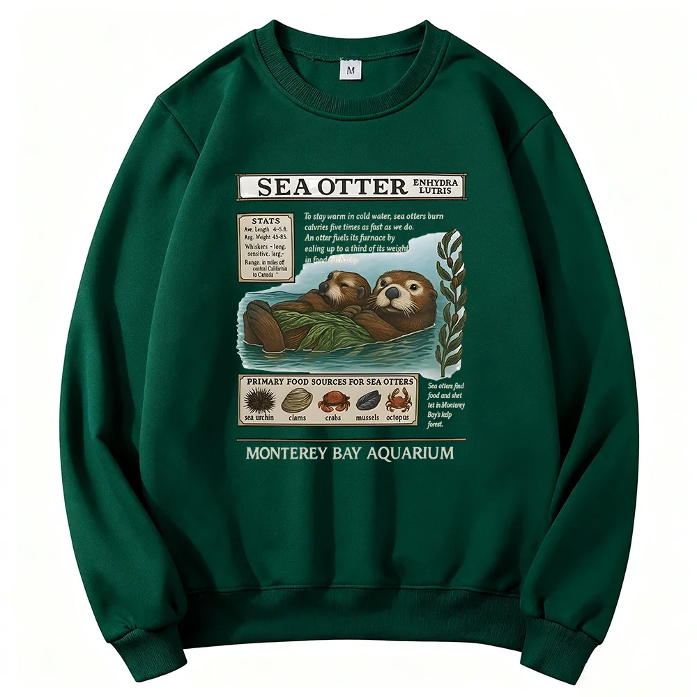 البحر قضاعة مونتيري خليج حوض السمك البلوز طويلة الأكمام الإناث الشتاء البلوفرات Crewneck النساء الرجال ملابس كاجوال الشارع الشهير
