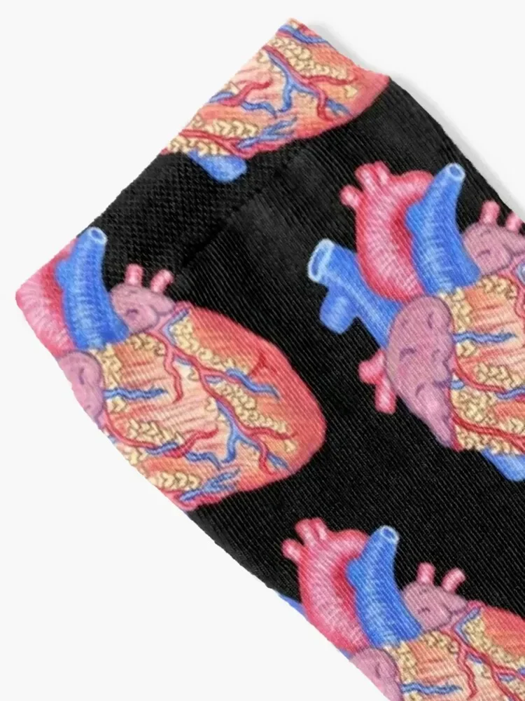 Anatomical Heart Love Socks tennis heated Socks Women Men's