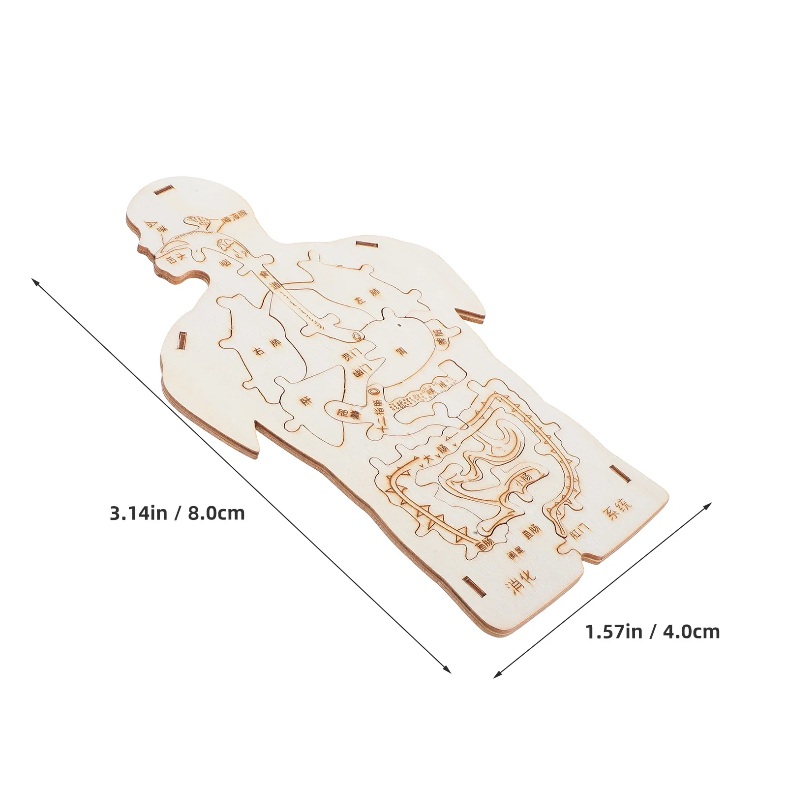 3 قطع من ألغاز أجهزة الجسم الخشبية - لعبة التشريح البشري المثير للأطفال - تطوير المهارات الحركية والمحو الأمية العلمية - #3