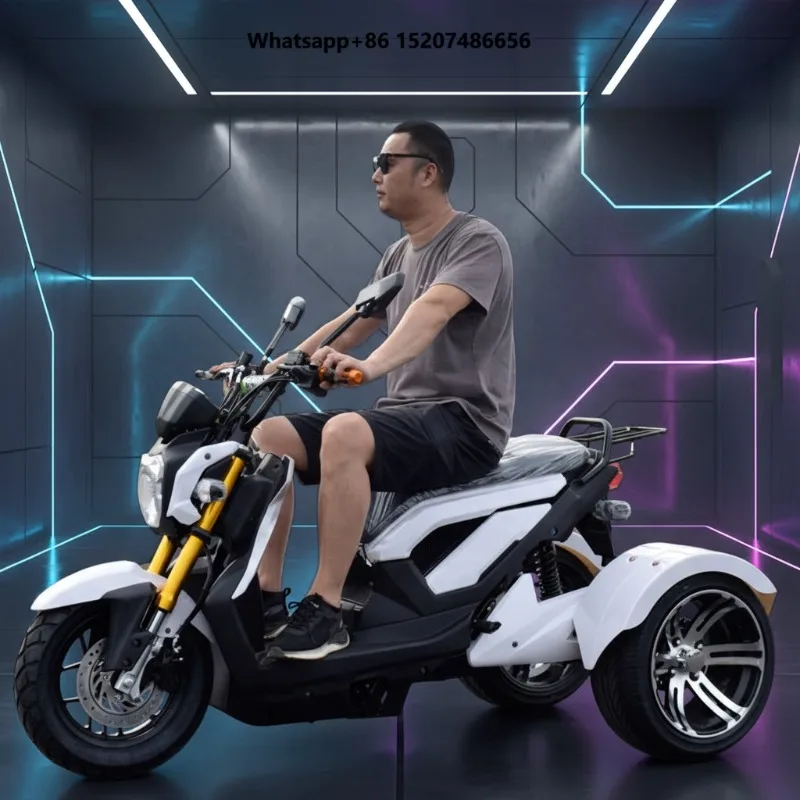 60V 45Ah Removable Battery Open Body Electric Tricycle Scooter with 2 Passengers 1000W Power 30-50Km/h Speed