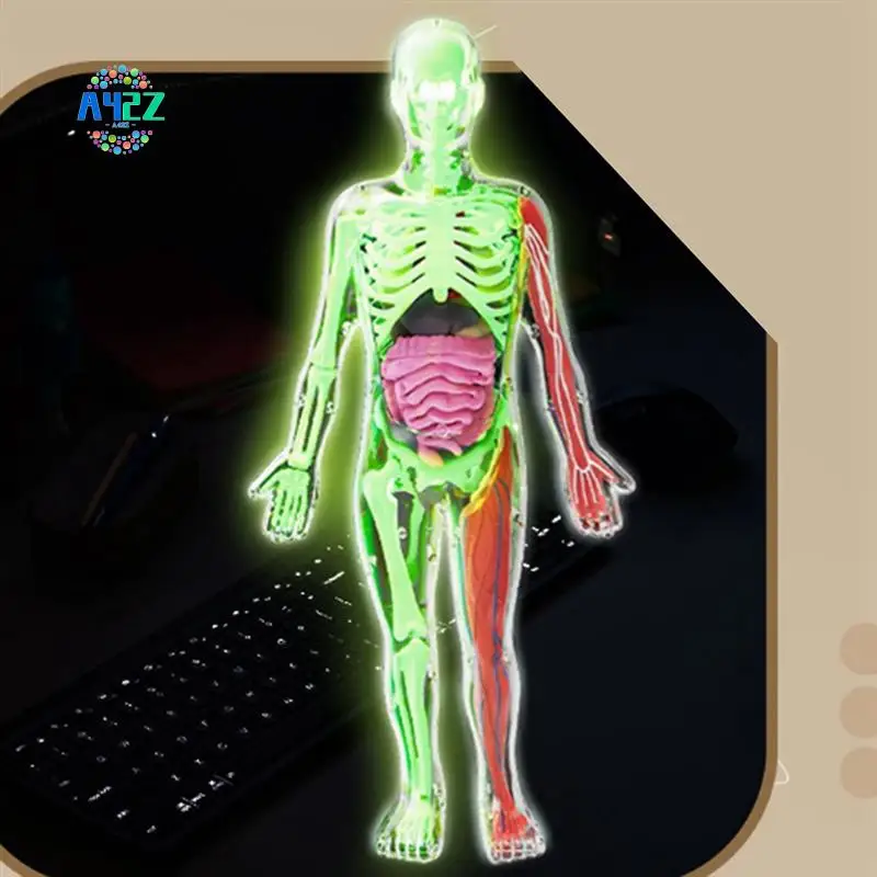 

A42Z-DIY Assembly Of Noctilucent Human Organ Skeleton Model Anatomy For Early Childhood Biology Teaching Primary Secondary