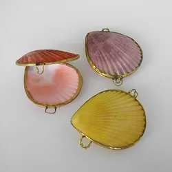 Aqumotic Sea Shells for Crafting Scallop Box 1pc Small Arts and Handicrafts Seashells Decor Beach Themed Decor for Home
