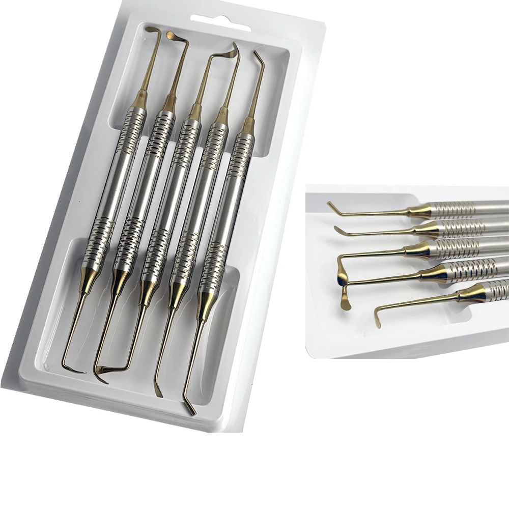 

5Pcs/set Dental Sinus Lift Lifting Elevator Instrument Tool Dentist Implant Stainless Steel Double Ends Set