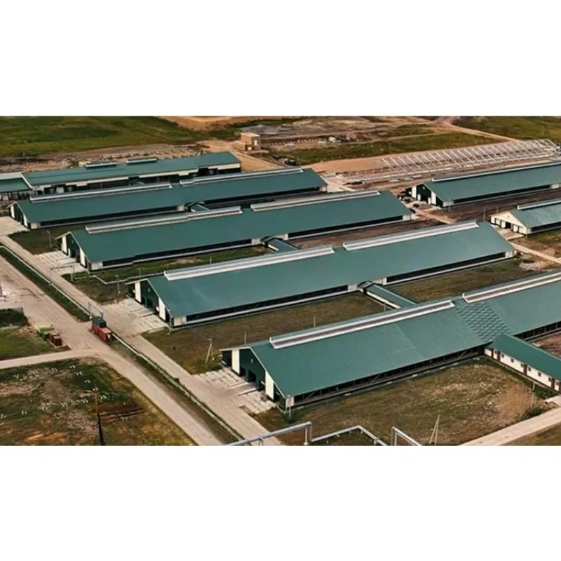 

Structure Poultry Farm Shed Building Chicken Farm House Design Cheap Construction Steel New Chicken Coop Chicken Sheds