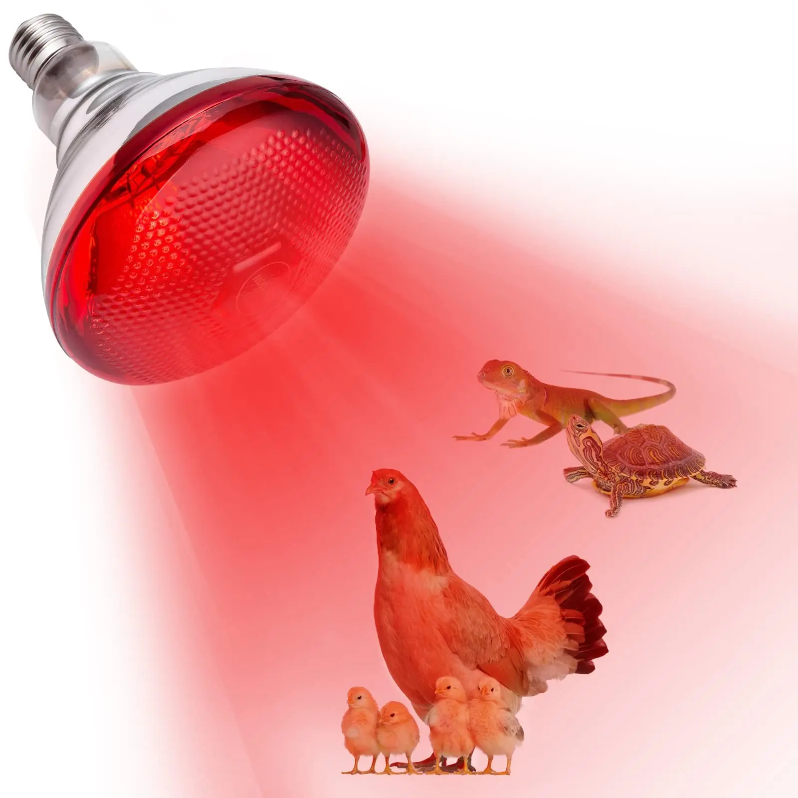100W-275W Zucht-Heizlampe E27 Schraubsockel Wasserdichte Infrarot-Rotlicht-Wärmelampe für Ferkel Hühner Enten Vögel Glühbirnen
