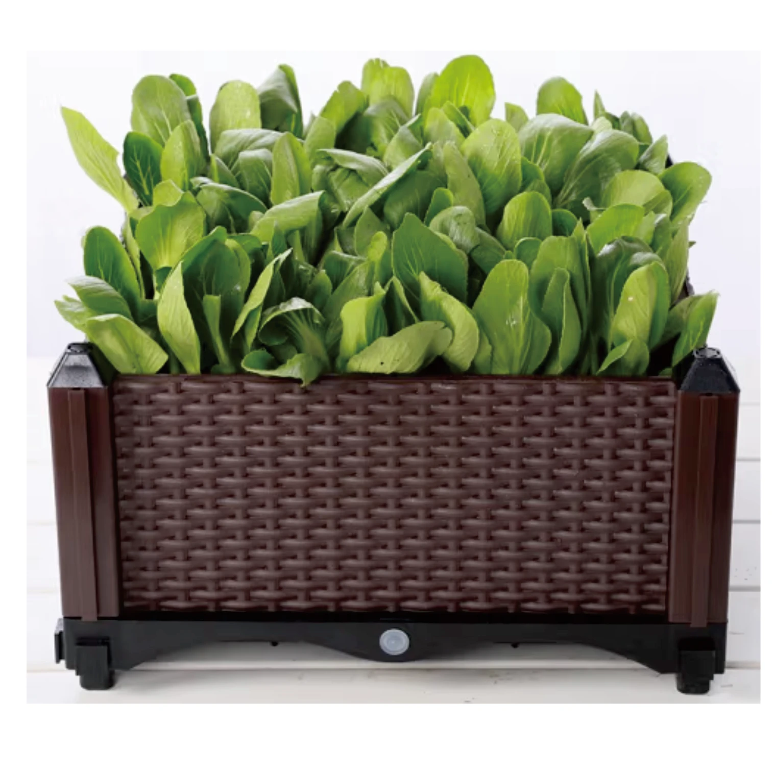 

Deepened Double Row Extra Large Rectangular Vegetable Planting Box Environmentally Friendly For Home & Garden Use