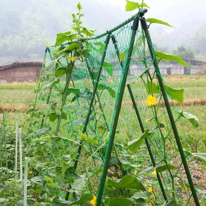 Trellis Netting for Climbing Plants Heavy Duty Garden Trellis Netting for Vine Fruits and Vegetables Climbing Vining Plants