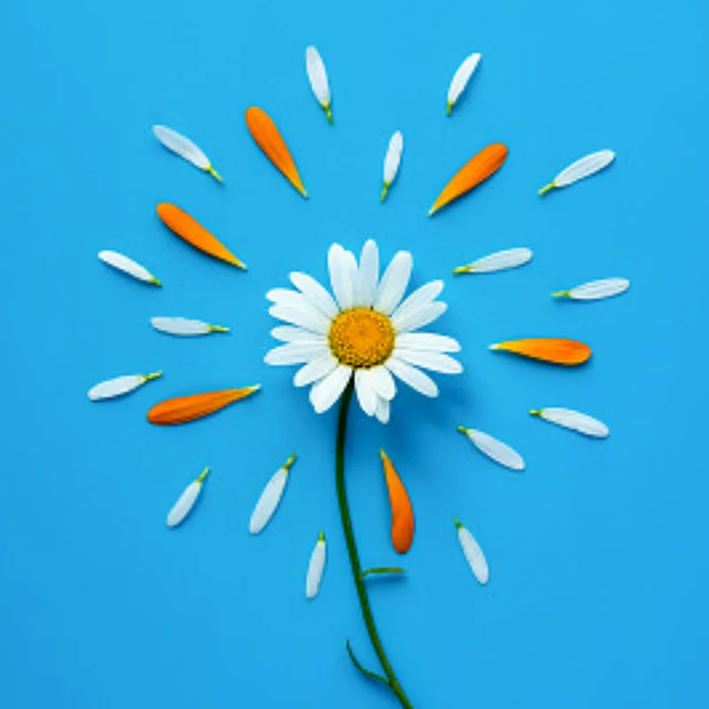 

Металлическая рулевая чашка Kyosho 1/8 USA-1 Monster Truck MA055B — прочная модернизация для электромобилей и нитро