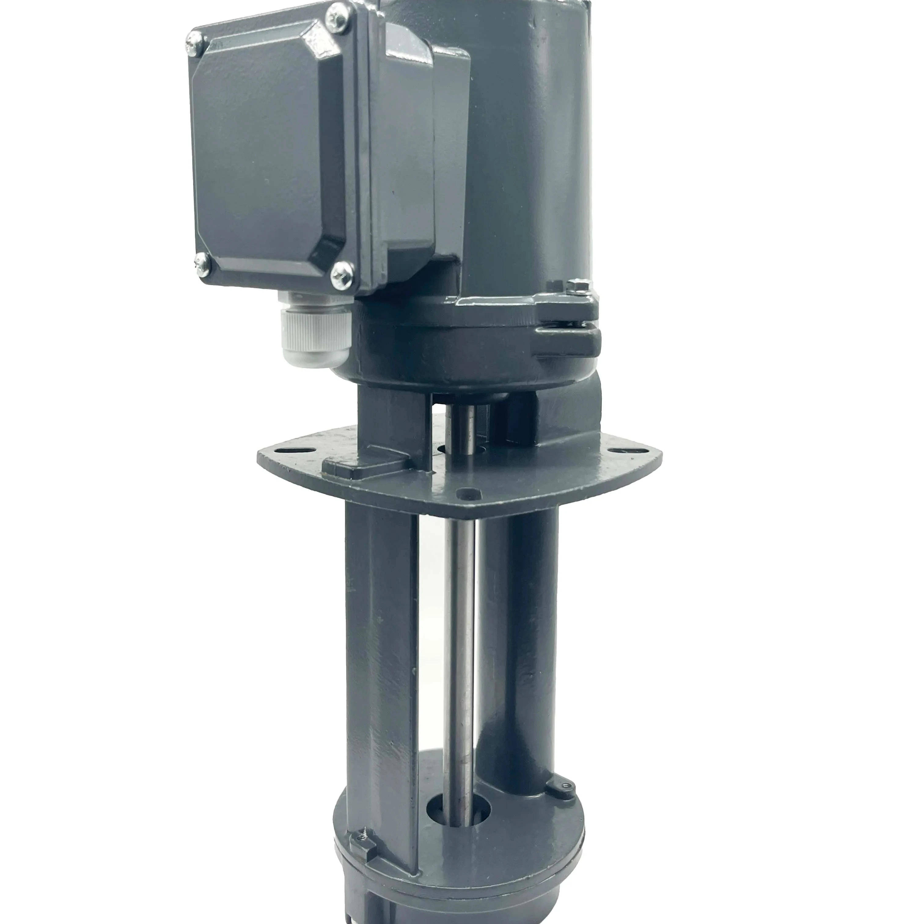 

Vertical Single Stage Circulating Pump RAVA2 Small Immersed Centrifugal Pump Water Pump