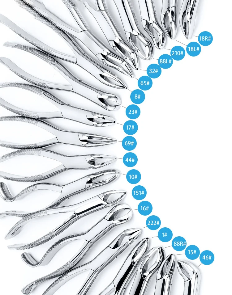 Uncoated Stainless Steel Forceps For Adult Tooth Extraction