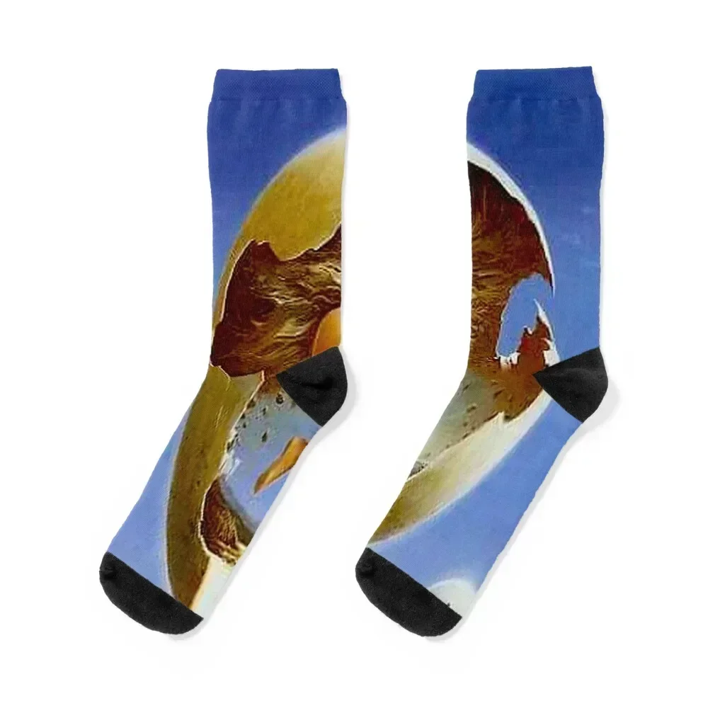 

BIRTH : Vintage Surreal Egg Print Socks anti-slip gym essential Socks Male Women's