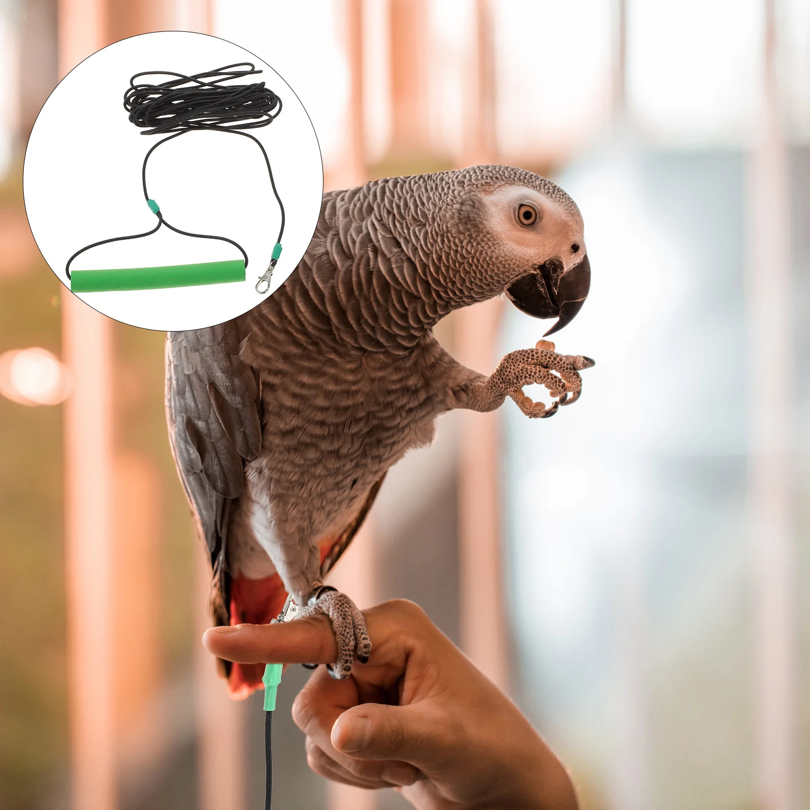 

2pcs Bird Traction Rope For Parrot Flying Harness Outdoor Training Leash Durable Comfortable Pet Bird Accessories Green