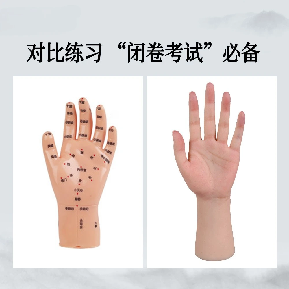 Hand Model Massage Hand Model Simulation Hand Acupuncture Practice Acupoint Model Teaching Aids