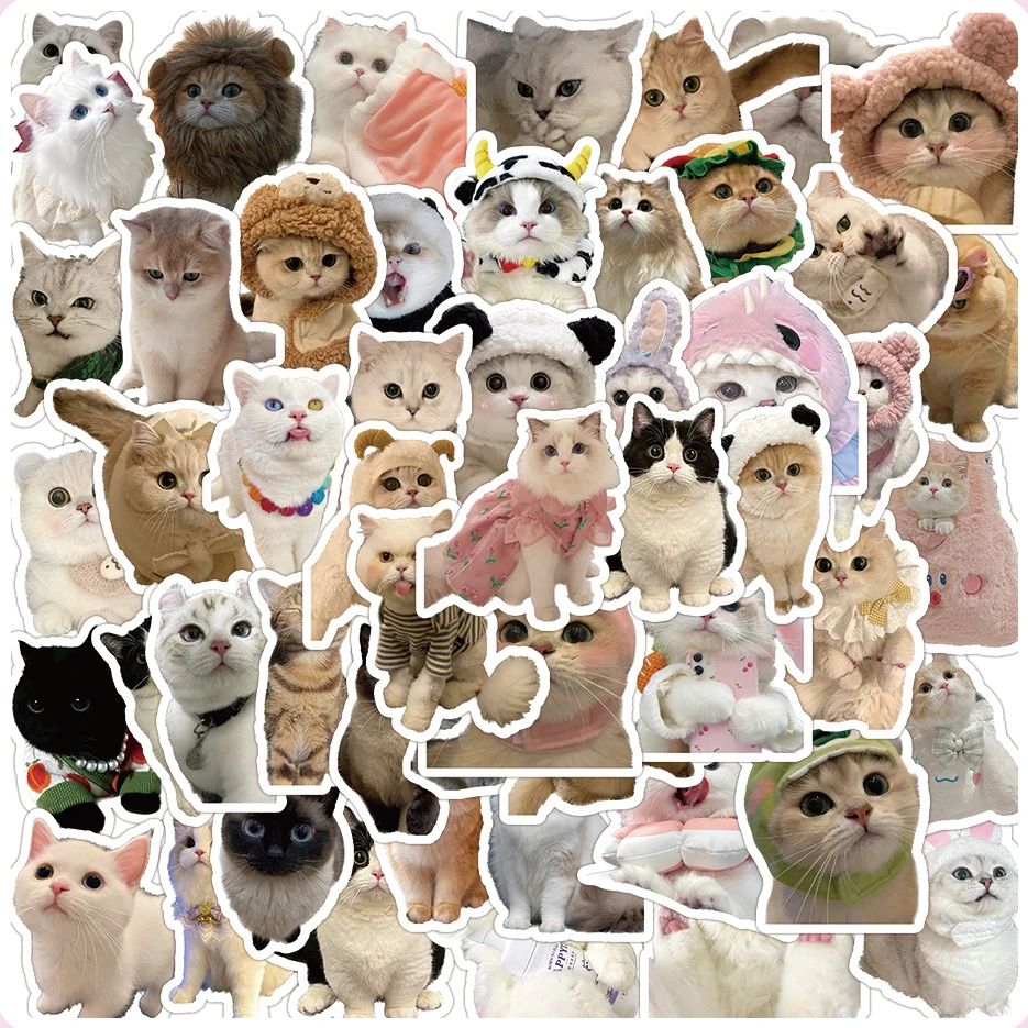 

60PCS DIY Cat Stickers - Waterproof and Non Repetitive Design Perfect for Cute Stickers on Phone Cases Diaries and Laptops