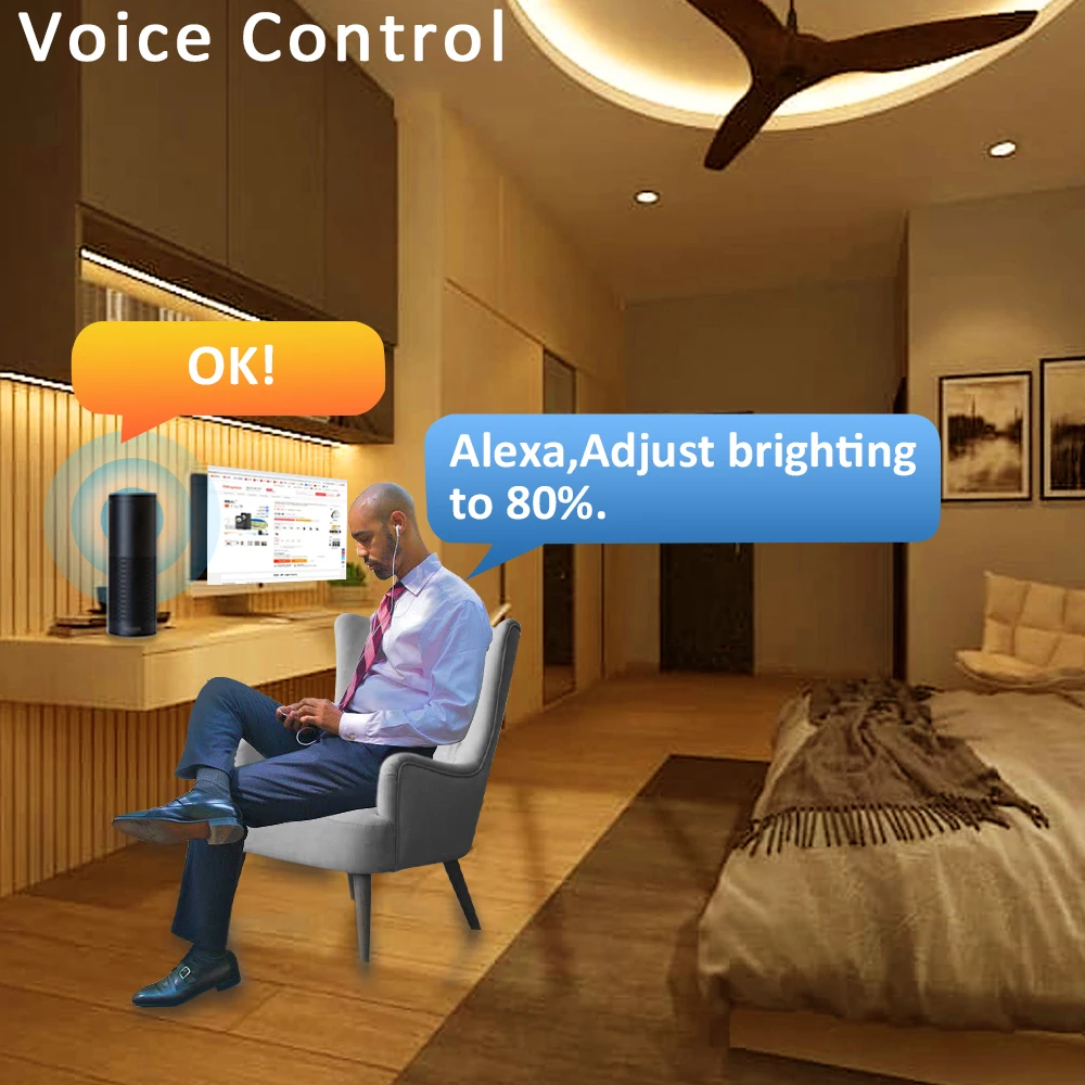 WT1 12V 24V Wifi Tuya Smart CCT Controller 2CH 5A WW CW Strip LED Dimmer Work with Yandex Alice Alexa APP RF Remote Control