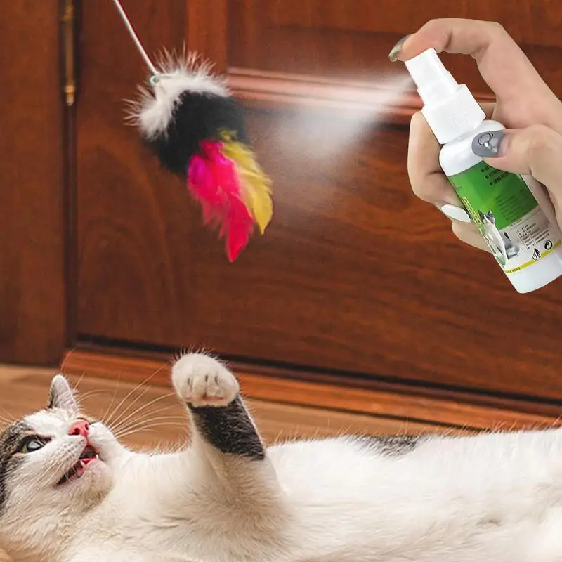 Cat Catnip Spray para gatinhos e gatos, ingredientes saudáveis, fácil de usar, suprimentos seguros para animais, atraente, 50ml