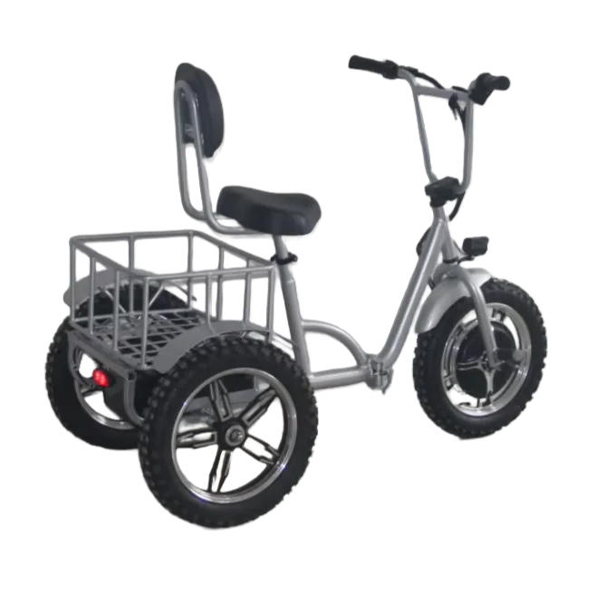 EEC 500 Вт Бесщеточный мотор-концентратор 48 В 12 Ач Свинцово-кислотный аккумулятор 25 км/ч Электрический мобильный скутер 3-колесный мобильный скутер