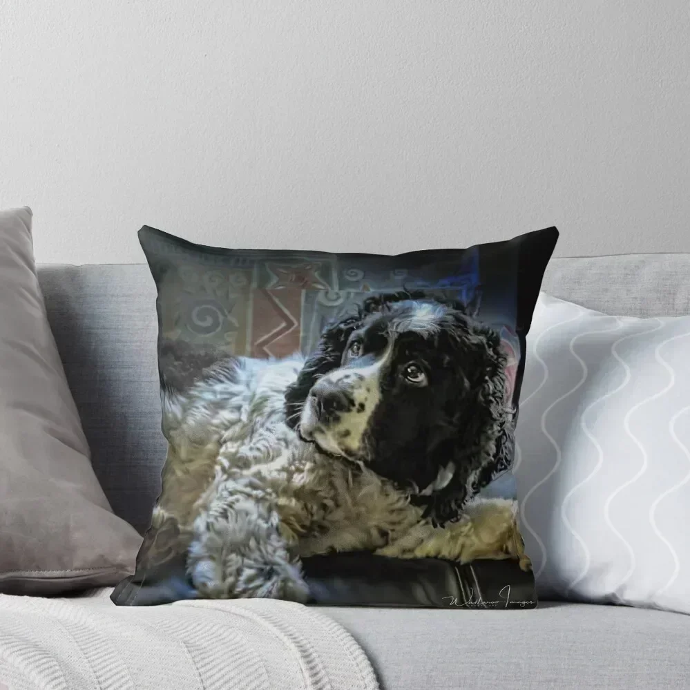 

Hunter The Sprocker Throw Pillow Bed pillowcases Anime Decorative Pillow Covers For Sofa Sitting Cushion pillow