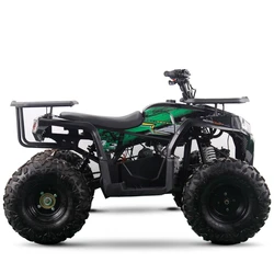 125cc Quad Bikes Gas ATV 4 Stroke Cuatrimoto Quadcycle for Adults Off Road 4 Wheeler Quad Bikes