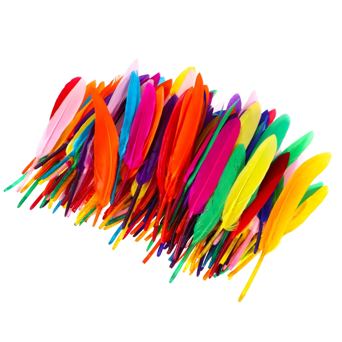 

200pcs Assorted Natural Decoration Color Natural Decoration Craft Project Wedding Party Home Accessories