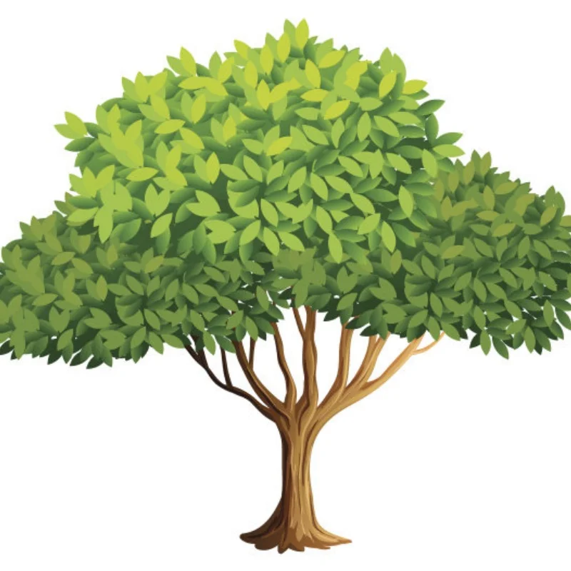 フロントとリアのプラスチック製カリーF9ポータルアクスルコンプリート、アキシャルキャプラUTB10 1.9 UTB 1/10 RCクローラーカーアップグレードパーツ用