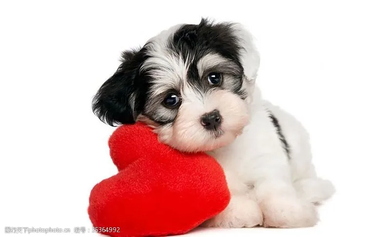 알루미늄 1.5'' 1.75'' 2.0 인치 25T 확장형 스티어링 서보 암 혼 M3 3홀 RC카 SCX10 RC 비행기 서보 스윙 암 부품