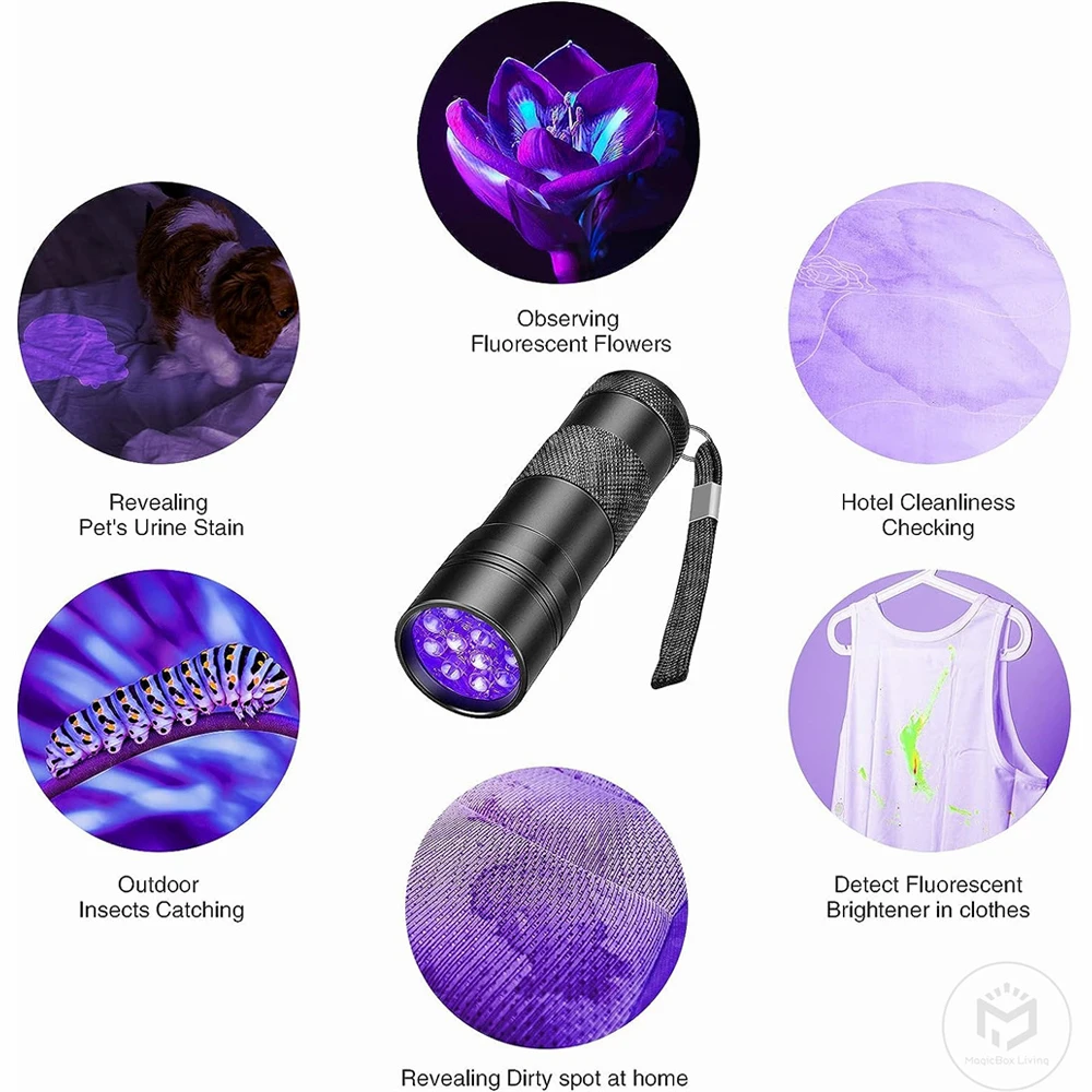 Linterna UV de luz negra de mano, de Flash de 395nm minilinterna, Detector de manchas de orina de perros y mascotas, insectos y escorpiones de cama,