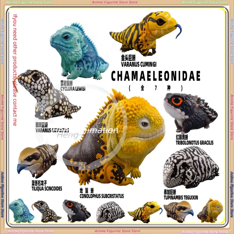 

pre-sale Tongue Stone Dragon Child Blue Rock Golden Head Giant Lizard Trendy Toys Anime, Figurines, Trendy and Cool,