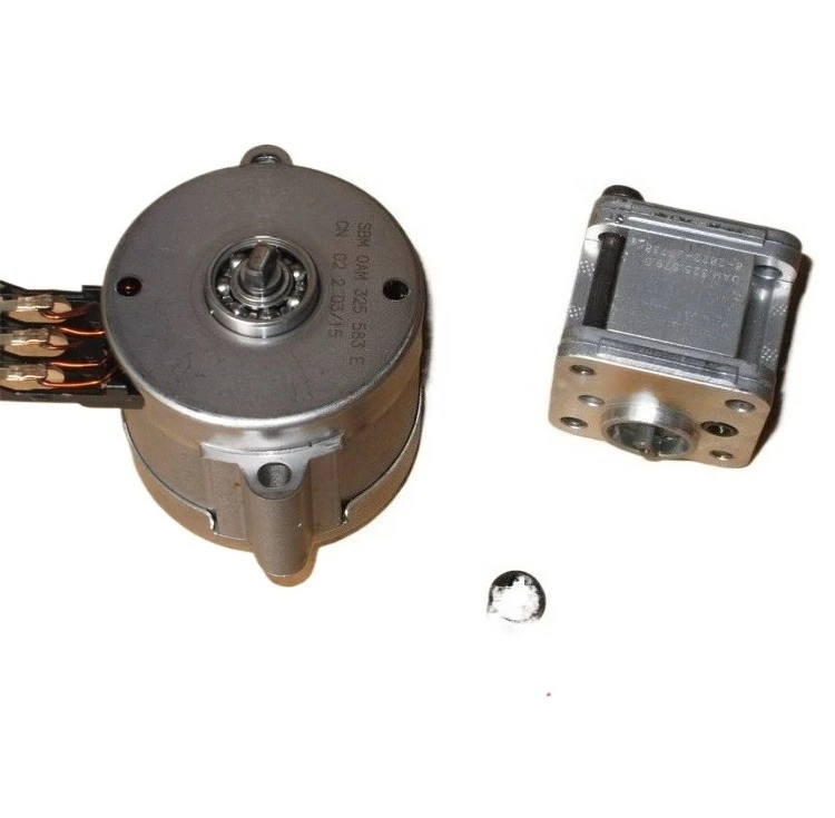 Italian Mini Gear Pump High Pressure Hydraulic Oil Pump for DIY Excavator Model
