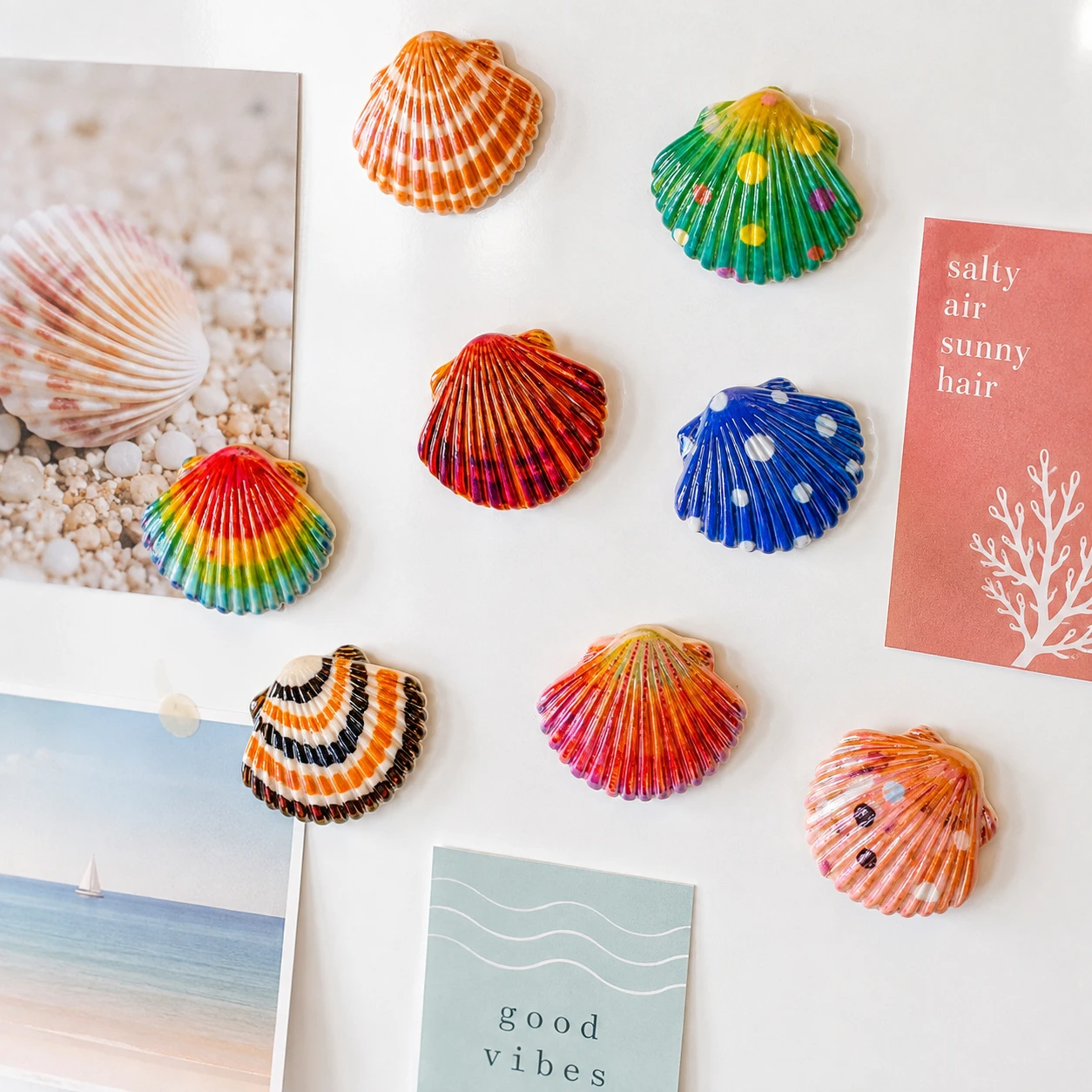 Colorful Seashell Fridge Magnets,Scallop Refrigerator Magnets Kitchen Office Photo Notes Beach Decor Gift Set