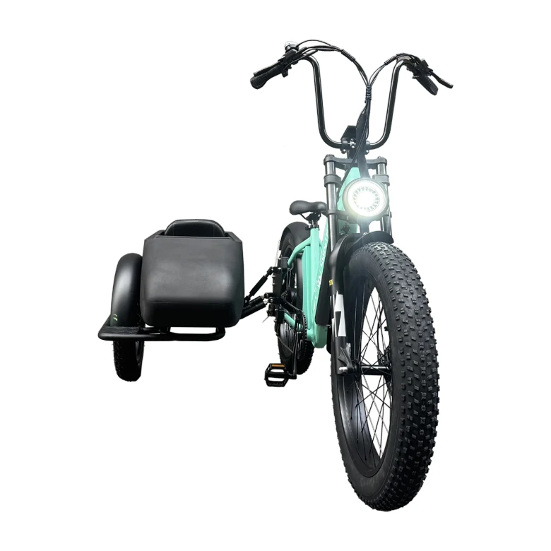 E Bike Side Car Adult Electric Tricycle Bicycle 3 Wheel Ebike Electric Cargo Trike 750w Hidden Lithium Battery Etrike Sidecar