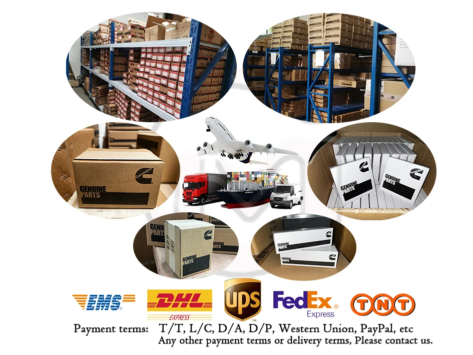 Cigüeñal de piezas de motor NT855 Cummins 3608833