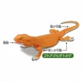 Bearded Dragon