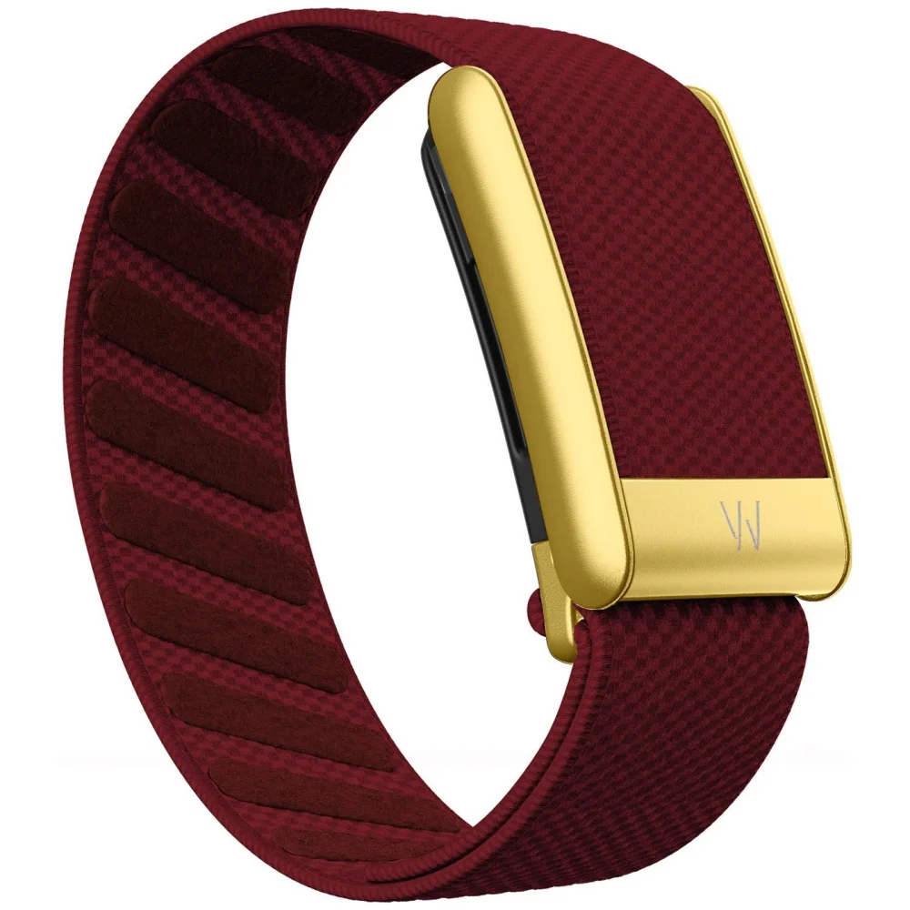 Geschikt voor Whoop 5.0 polsbandje W-logo Nylon geweven elastisch Whoop Mg Sports vervangende riem Metalen Whoop Life ECG-riemen
