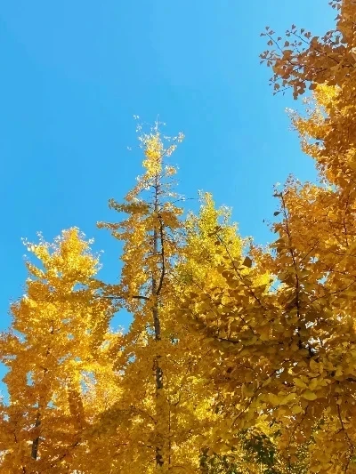 4 Uds neumáticos de goma de 90Mm rueda de neumático para Wltoys 144001 124019 12428 104001 HBX 16889 SG1601 piezas de mejora de coche RC