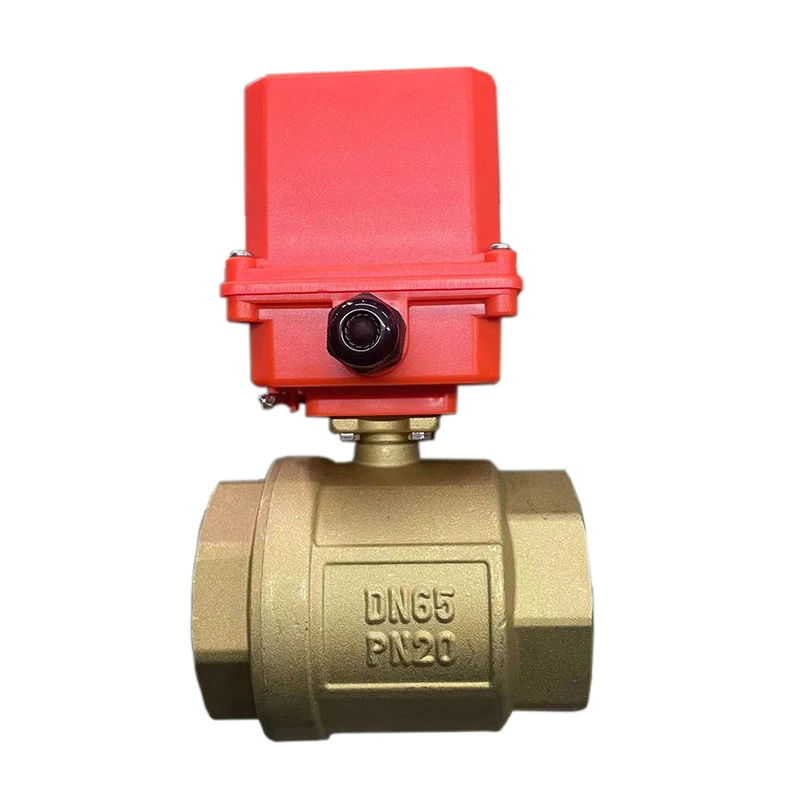 

2.5" High platform Brass Motorized Ball Valve 220V 12V 24V DN65 Brass Electric Ball Valve