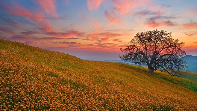 

For HYUNDAI ELANTRA 2012-2016 Black Under Engine Guard Plate Splash Shield Mud Fender Cover Mudguard Protector